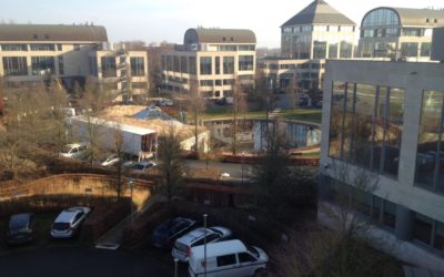 Removal or office relocation?…..